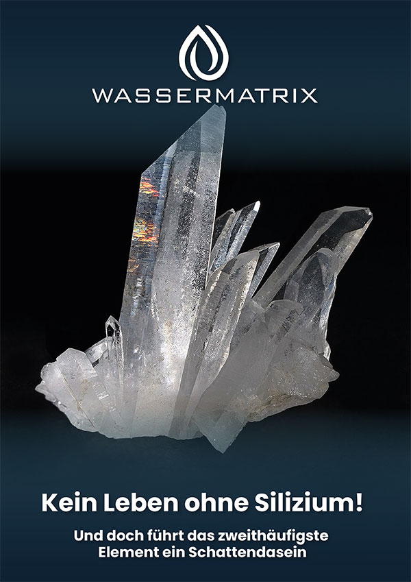 Kein Leben ohne Silizium