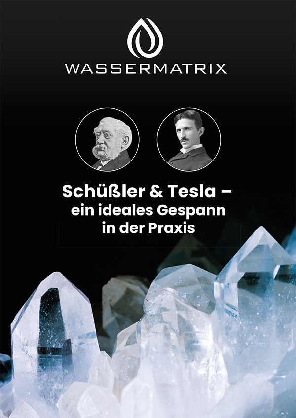 Schüßler & Tesla - ein ideales Gespann in der Praxis